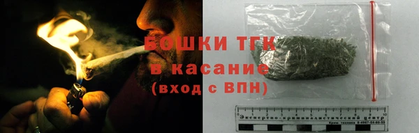 твердый Алексин