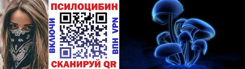 где купить наркоту  hydra маркетплейс  Галлюциногенные грибы MAGIC MUSHROOMS  Балашов 